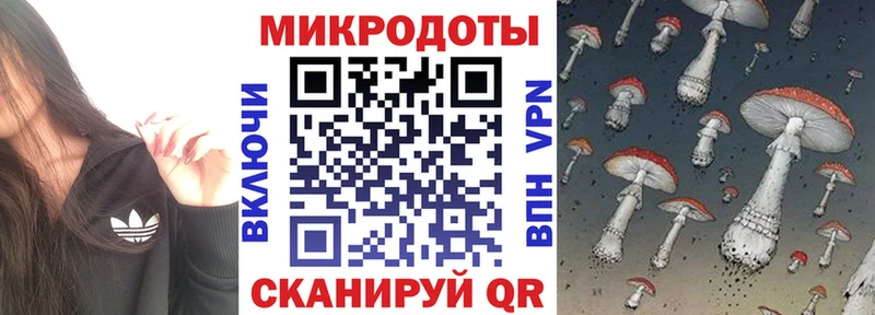 shop наркотические препараты  Хвалынск  Галлюциногенные грибы Cubensis 